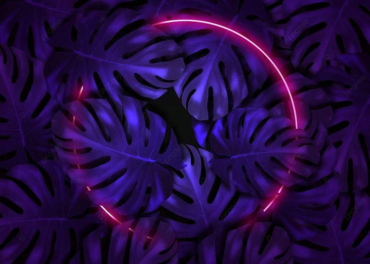 0exg2xMMVszW65crAjV8oR4u3pLWV20mnjF3d2Ul.webp