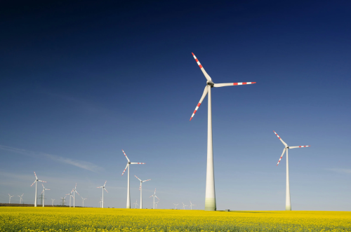 What Does Sustainability Mean for Businesses?